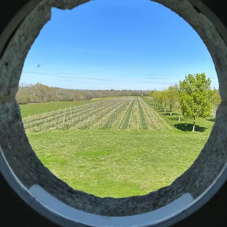Chateau De Mazelieres *