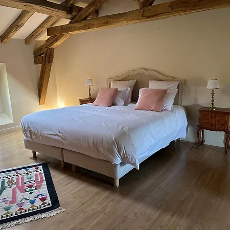 Chateau De Mazelieres Penzion