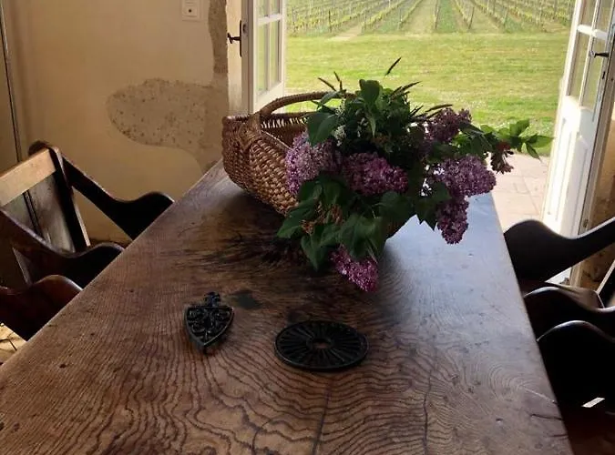 Chateau De Mazelieres Gasthuis 3*