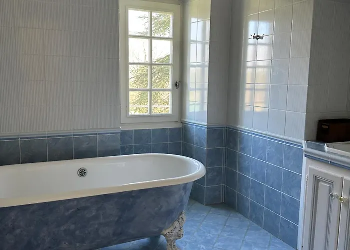 Chateau De Mazelieres 3*